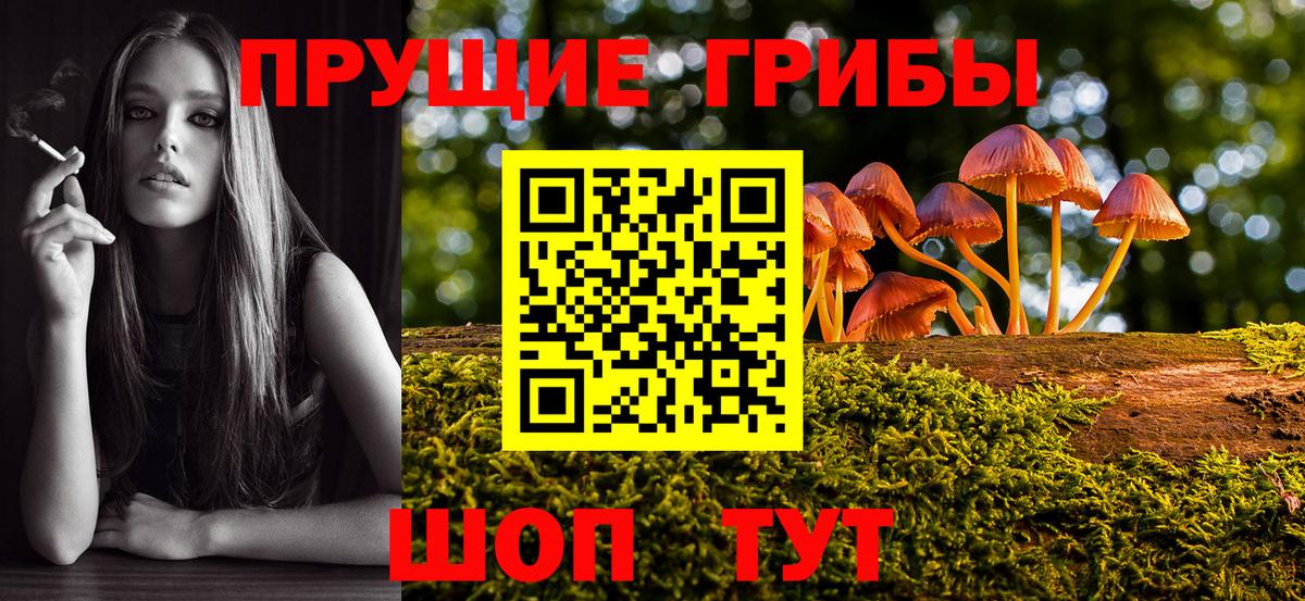 Галлюциногенные грибы мухоморы Краснознаменск