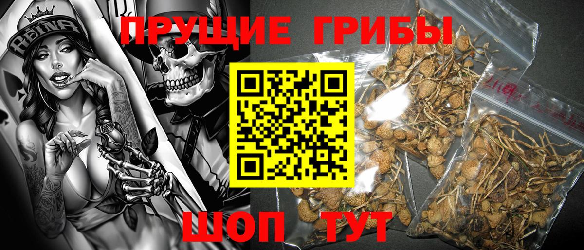 что такое   Галлюциногенные грибы Cubensis  Вход с VPN  Краснознаменск 